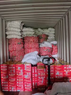 Door To Door DDP Shipping From China To Poland Online Real Time Tracking For E Commerce Bulk Stock